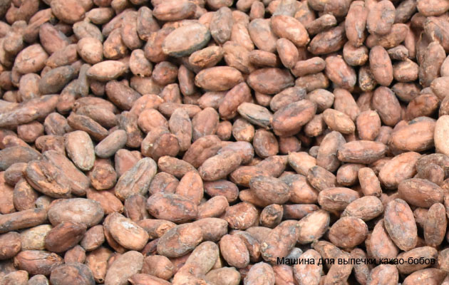 Cocoa Beans.jpg